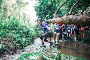 BIB: 
                            <button type="button" onclick="openModal(25473224)" class="btn btn-primary btn-sm float-right btn-popup" data-toggle="modal" data-target=".modal-high-quality">
                        <i class="fas fa-shopping-cart"></i> Add to Cart
                    </button>
                                            <button type="button" onclick="isThisMe(25473224, true)" class="btn btn-success btn-sm float-right btn-popup btn-isme hidden" data-toggle="tooltip" data-placement="bottom" title="นี่คือรูปของคุณใช่ไหม คลิกที่นี่เพื่อเอาเข้าอัลบั้ม">
                        <i class="fas fa-plus"></i> Add to album
                    </button>
                    <button type="button" onclick="isThisMe(25473224, false)" class="btn btn-warning btn-sm float-right btn-popup btn-isnotme hidden">
                        <i class="fas fa-ban"></i> Remove from album
                    </button>